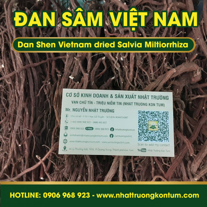 Đan Sâm Tây Nguyên Việt Nam Nhật Trường - Dan Shen Vietnam dried Salvia Miltiorrhiza - Túi 1kg