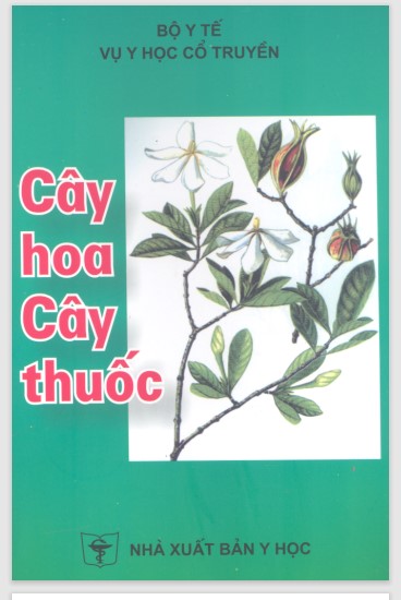 Cây hoa làm thuốc - Vụ Y Học Cổ Truyền Bộ Y Tế