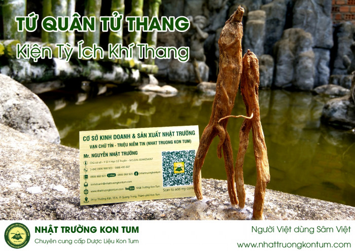 Tứ Quân Tử Thang - Kiện Tỳ Ích Khí Thang