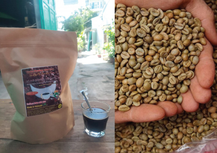 Robusta hạt sẻ là gì? Có mấy loại Robusta