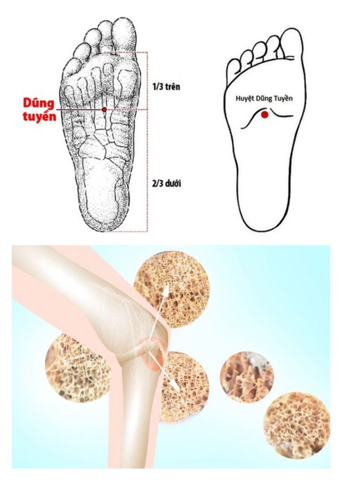 Tác dụng huyệt dũng tuyền