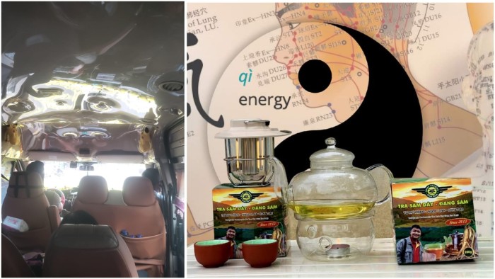 Dùng Sâm Dây và chứng say tàu xe