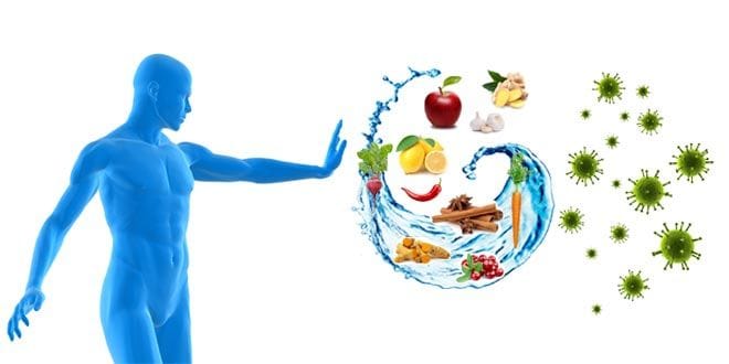Hệ thống miễn dịch được ví như lá chắn tự nhiên