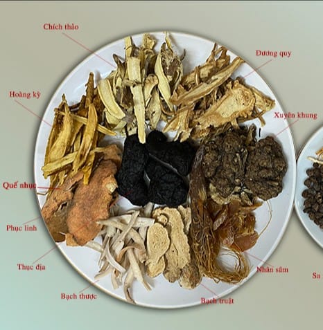 Thập toàn đại bổ hỗ trợ bệnh Ung Thư