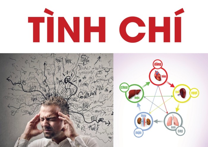 Tình Chí Theo Đông Y
