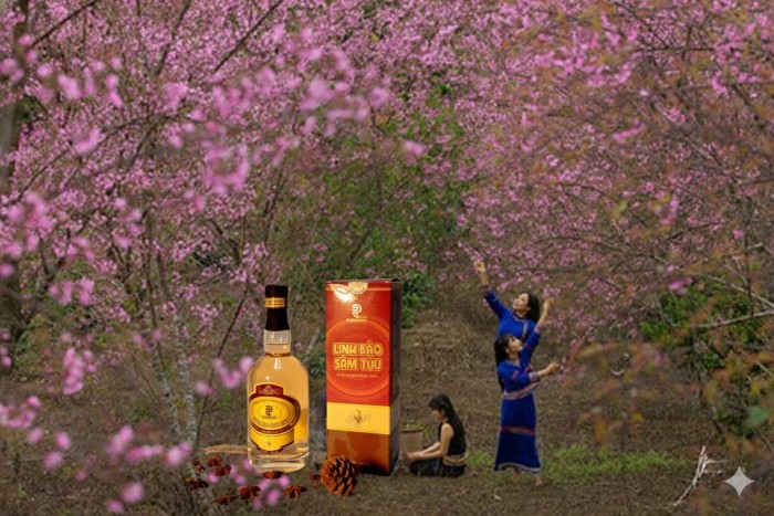 Đến Măng Đen thưởng thức rượu Sâm Kon Tum