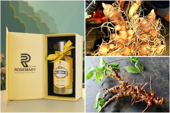 Rượu Sâm Ngọc Linh Kon Tum chất lượng