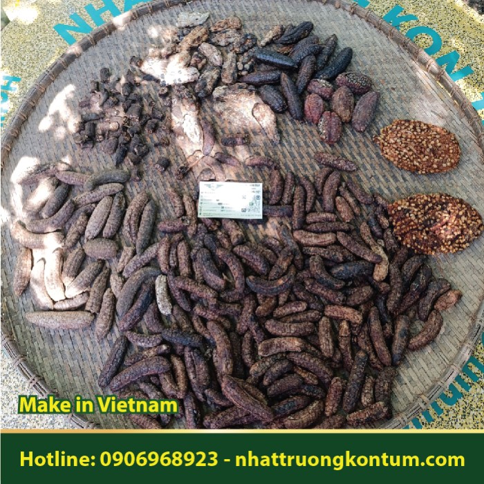 Combo 7 Loại Chuối Hột - Chuối Hột Rừng 1kg - 300g Chuối Hột Đỏ Rừng Măng Đen - 200g Quả Chuối Cô Đơn - 200g Chuối Hột Rừng Tây Bắc - 100g Chuối Đá Rừng Kon Tum - 100g Chuối Hột Rừng Thái Lát nguyên vỏ - 100g Chuối hột trồng ép bánh miếng