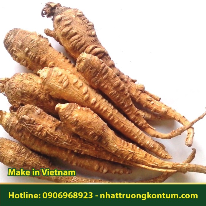Bạch Chỉ Khô - Angelica dahurica Dried Vietnam - Túi 1kg