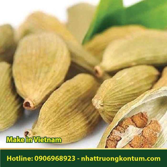 Bạch Đậu Khấu - Thảo Quả Xanh - Amomum cardamomum - Túi 1kg