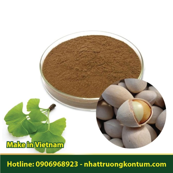 Bột Bạch Quả - Ginkgo biloba Powder - Túi 1kg