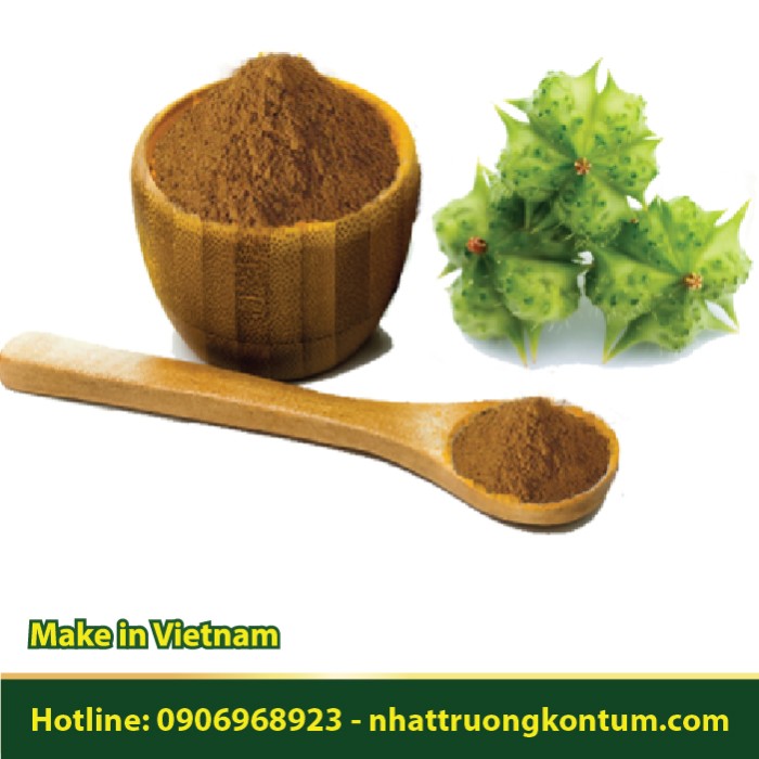 Bột Bạch Tật Lê - Tribulus terrestris Powder Vietnam - Túi 1kg