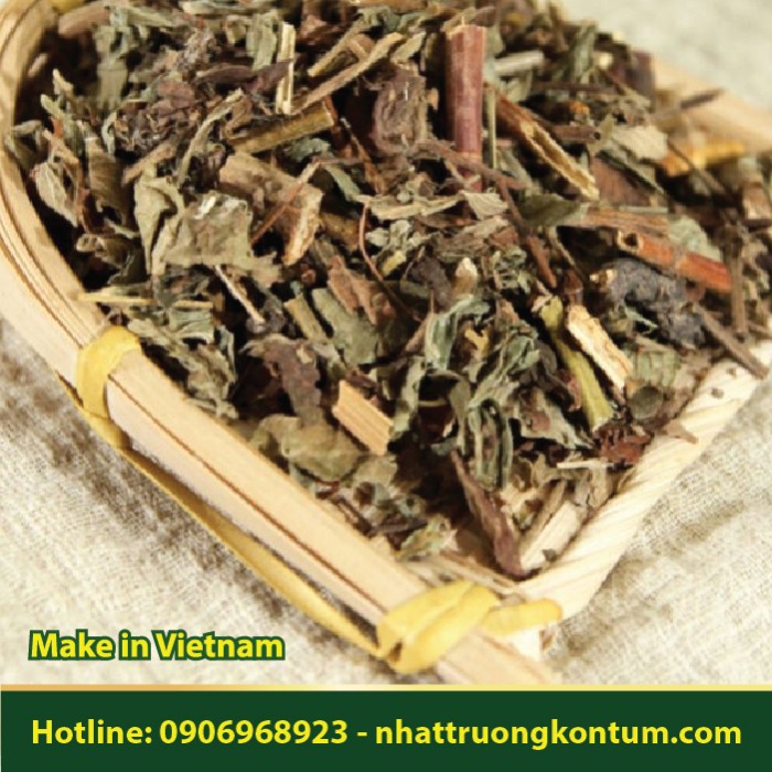 Bòng Bong - Lygodium flexuosum - Túi 1kg