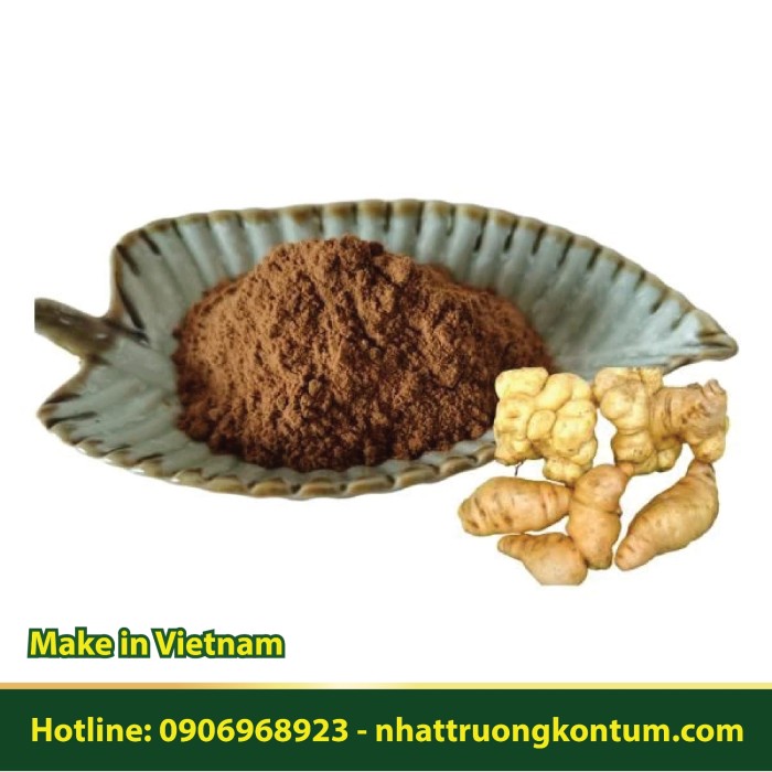 Bột Địa Hoàng Khô - Sinh Địa Hoàng Tây Nguyên Việt Nam Nhật Trường - Rehmannia glutinosa Vietnam Powder - Túi 0.5kg
