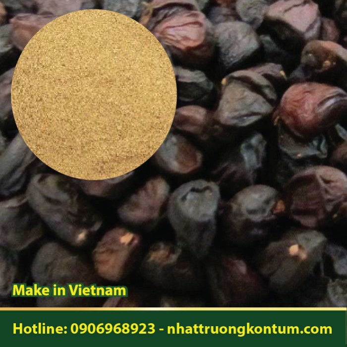 Bột Hạt Dổi Hạt Giổi Rừng Kon Tum - Dổi Nếp - Michelia tonkinensis Powder Kon Tum Vietnam- Hũ 100g
