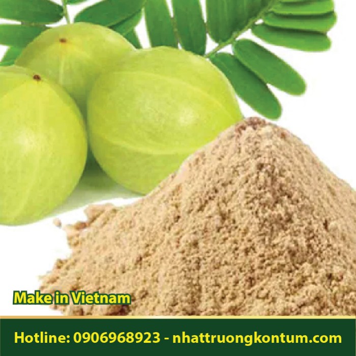 Bột Quả Me Rừng Khô - Phyllanthus emblica.Powder - Túi 1kg