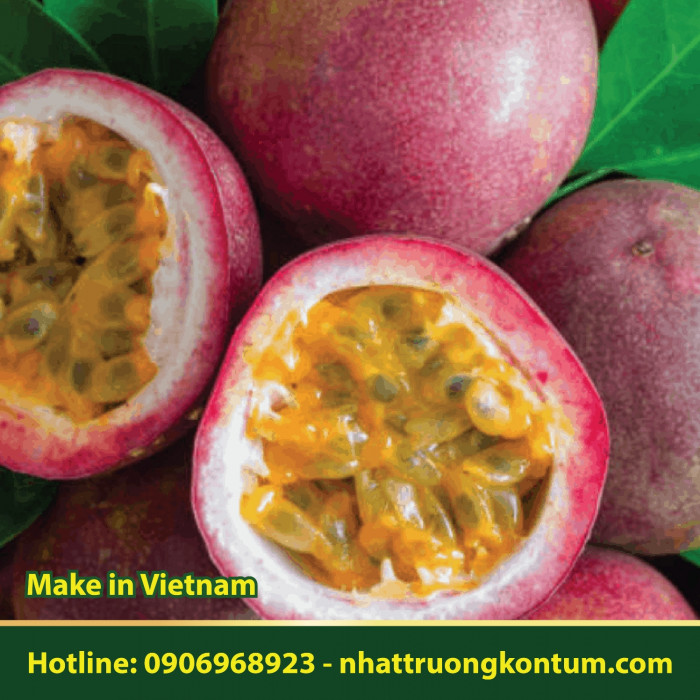 Chanh Dây - Chanh Leo Nhật Trường Kon Tum - Passiflora edulis - Túi 1kg