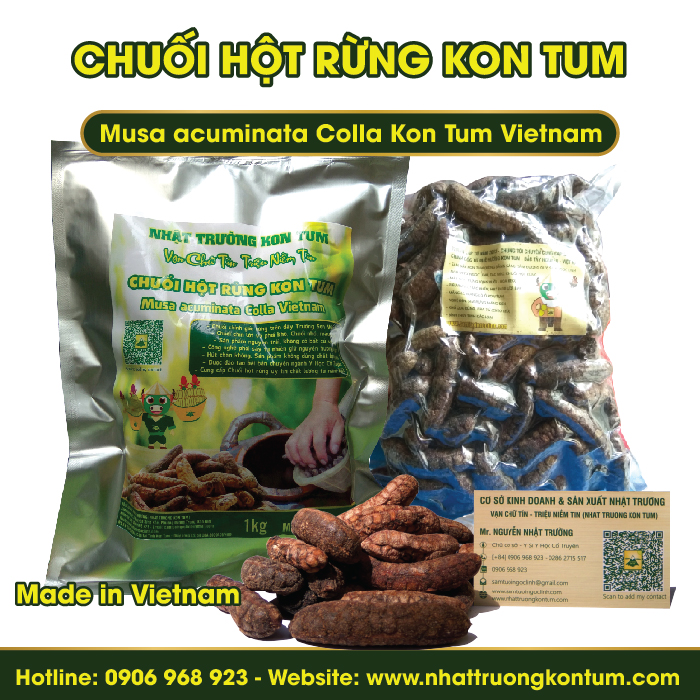 Chuối Hột Rừng Kon Tum - Musa acuminata Colla Kon Tum Vietnam - Túi 1kg