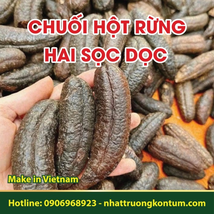 Chuối Hột Rừng Hai Sọc Dài - Musa acuminata Colla Vietnam - Túi 1kg