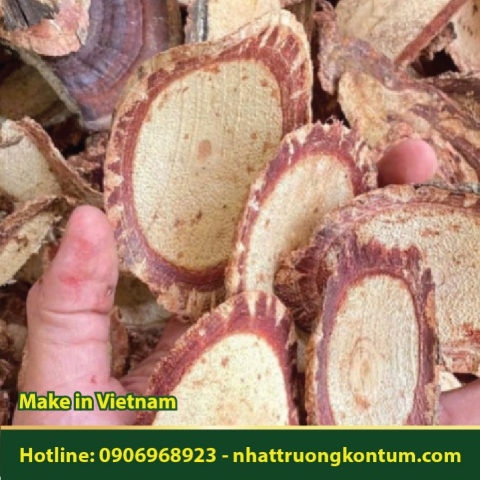 Cỏ Máu - Sargentodoxa cuneata Dried Vietnam - Túi 1kg