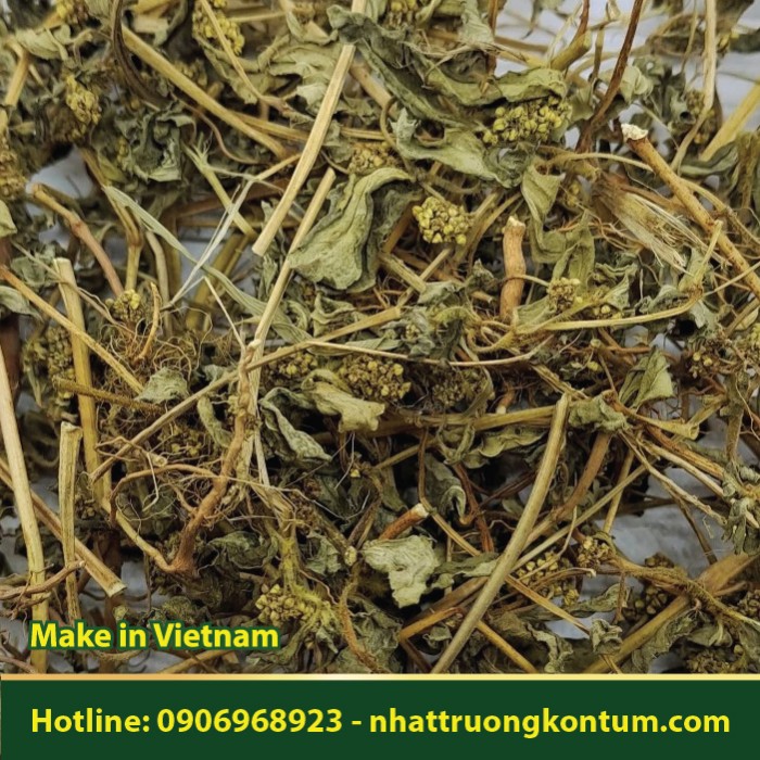 Cỏ Sữa Lá Lớn Khô - Euphorbia hirta - Túi 1kg