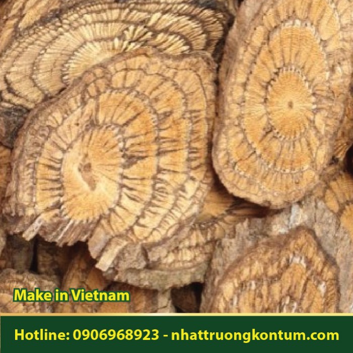 Dây Gắm - Gnetum montanum Dried Vietnam - Túi 1kg