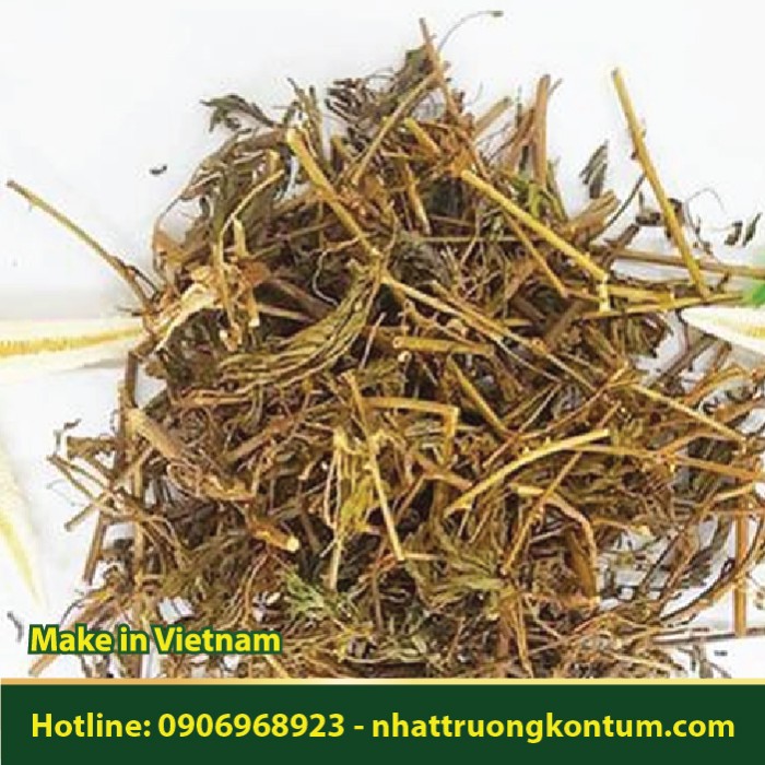 Dây Xấu Hổ Khô - Dây Mắc Cỡ - Dây Trinh Nữ - Mimosa pudica Dried - Túi 1kg