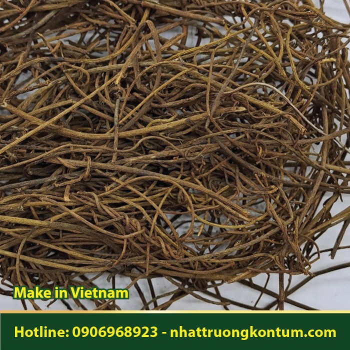 Dây Tơ Hồng Khô - Cuscuta chinensis Dried - Túi 1kg