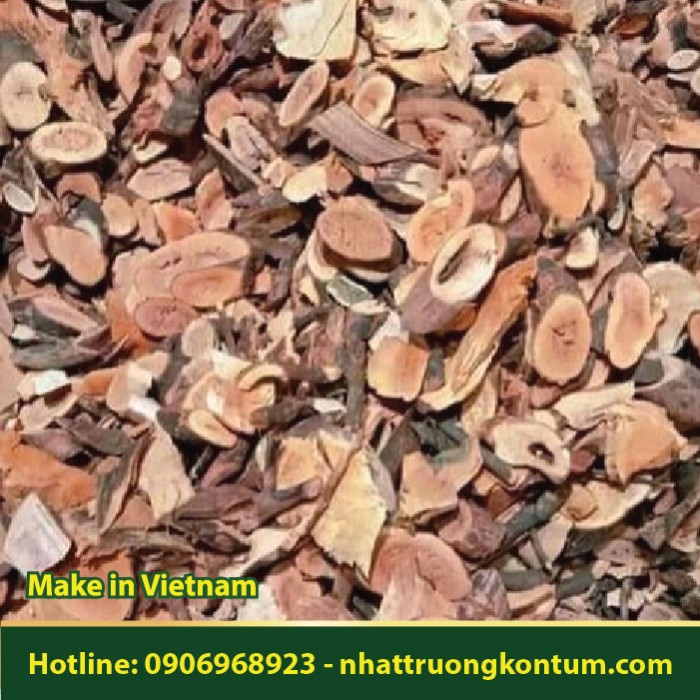 Gối Hạc Khô - Leea rubra Blume Dried Vietnam - Túi 1kg