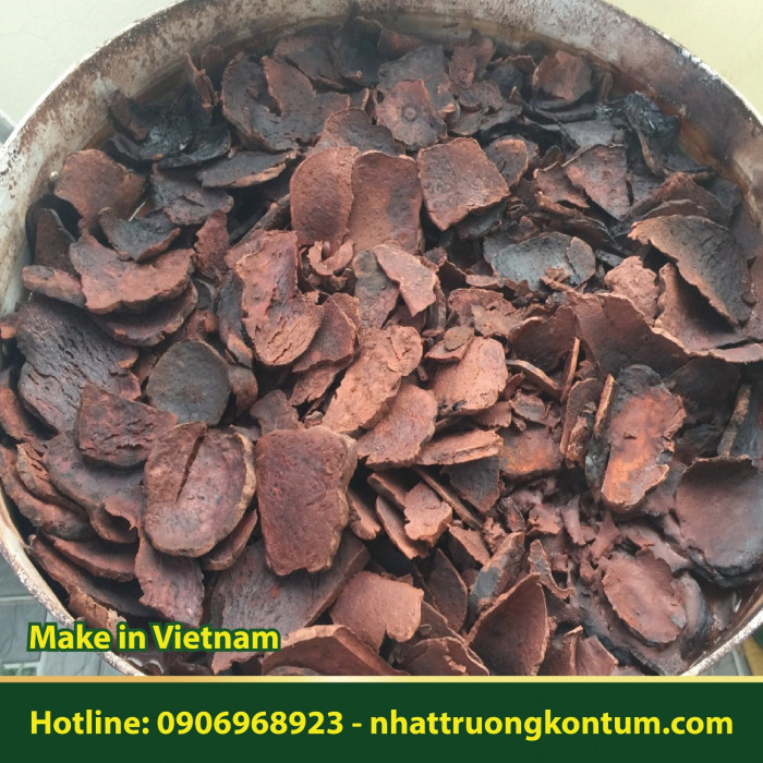 Hà Thủ Ô Chế Đỗ Đen Nhật Trường Kon Tum - Fallopia multiflora Vietnam - Túi 0.5kg