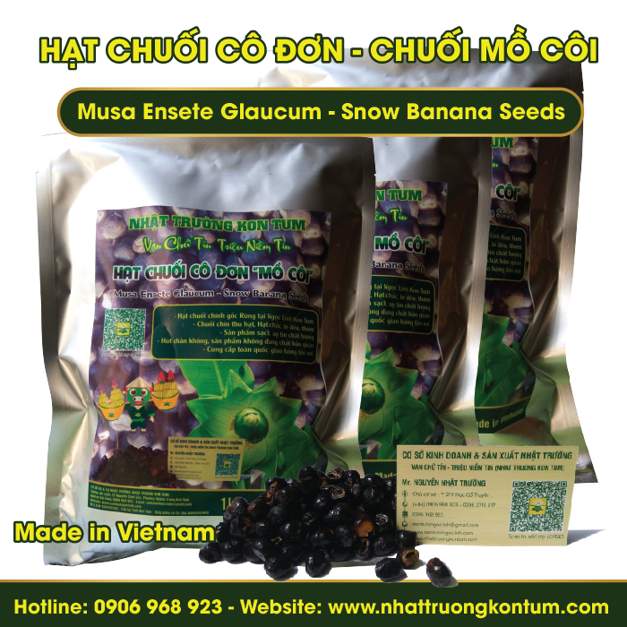 Hạt Chuối Cô Đơn Kon Tum - Musa Ensete Glaucum - Snow Banana Seeds - Túi 1 kg