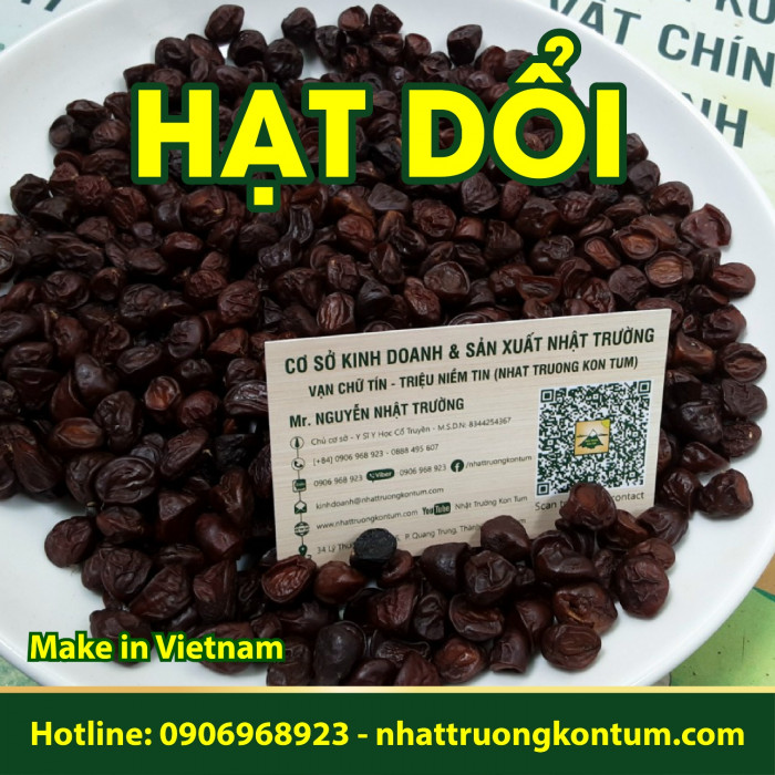 Hạt Dổi Hạt Giổi Rừng Kon Tum - Dổi Tẻ - Michelia tonkinensis Kon Tum Vietnam- Hũ 100g