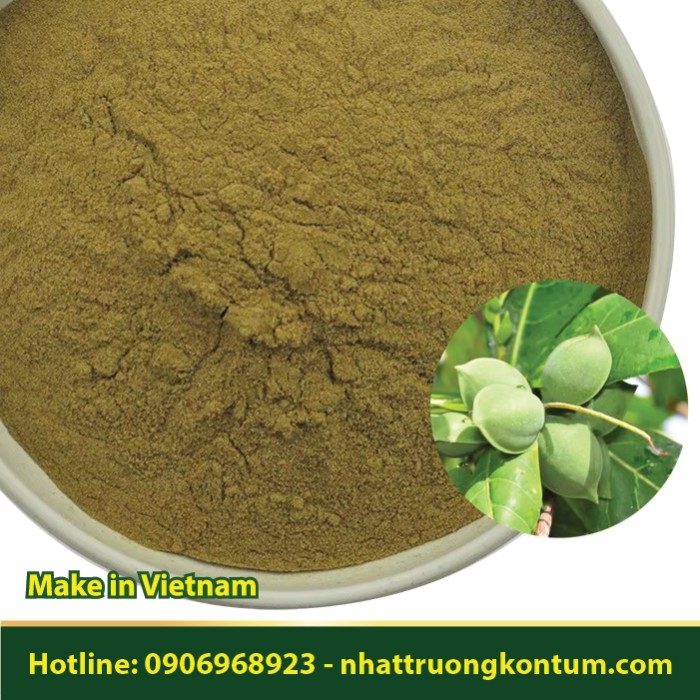 Bột Hạt Bàng Khô - Terminalia catappa Powder - Túi 1kg