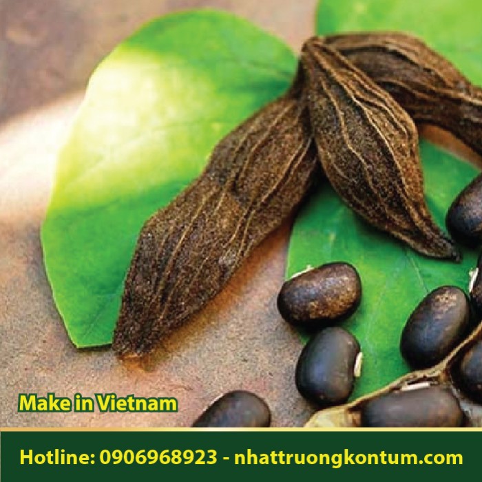 Hạt Đậu Rừng - Hạt Đỗ Rừng - Hạt Chèn Chét - Đậu Mèo Rừng - Mucuna pruriens Dried - Velvet bean - Túi 1kg