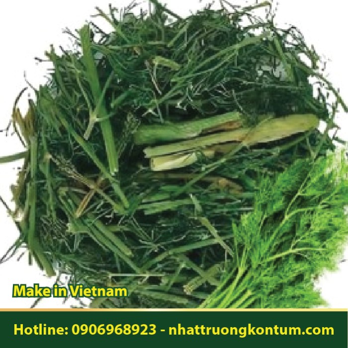 Lá Hẹ - Cửu Thái Tử - Allium tuberosum Rottler Leaf Dried Vietnam - Túi 1kg