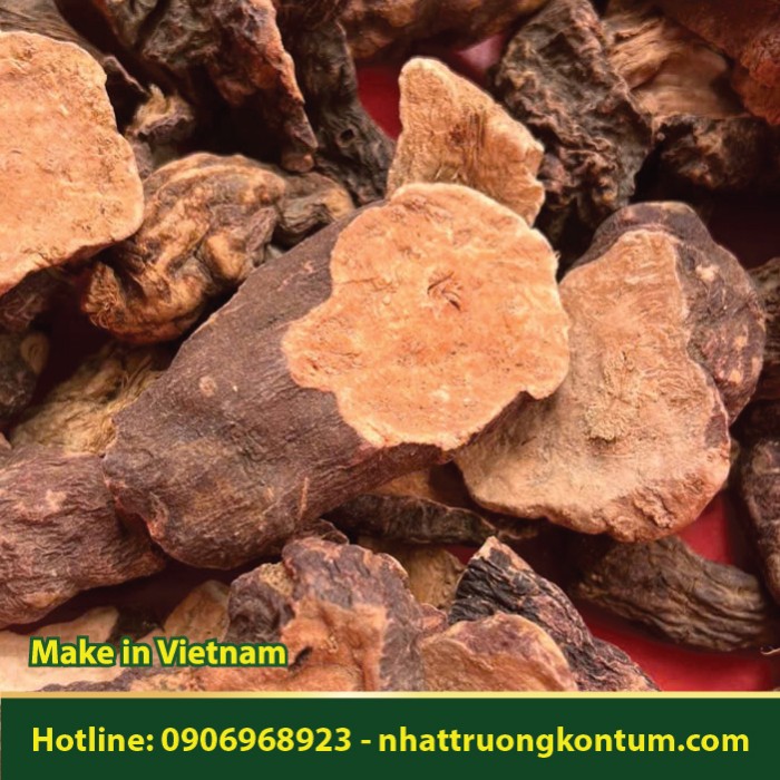 Hà Thủ Ô Chưa Chế - Tươi Sang Khô Nhật Trường Kon Tum - Fallopia multiflora Vietnam - Túi 0.5kg