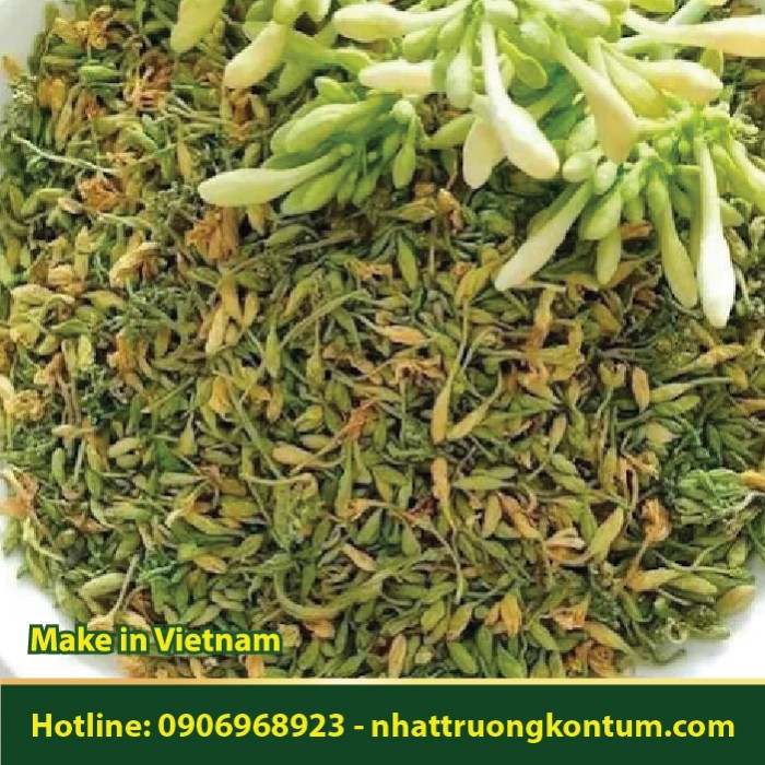 Hoa Đu Đủ Đực Khô - Carica papaya Flower Dried Vietnam - Túi 1kg