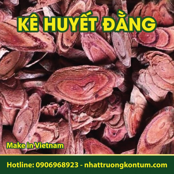 Kê Huyết Đằng Nhật Trường Kon Tum - Spatholobus harmandii Gagnep - Túi 1kg