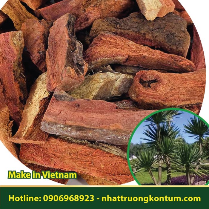 Huyết Giác - Dracaena cochinchinensis - Túi 1kg