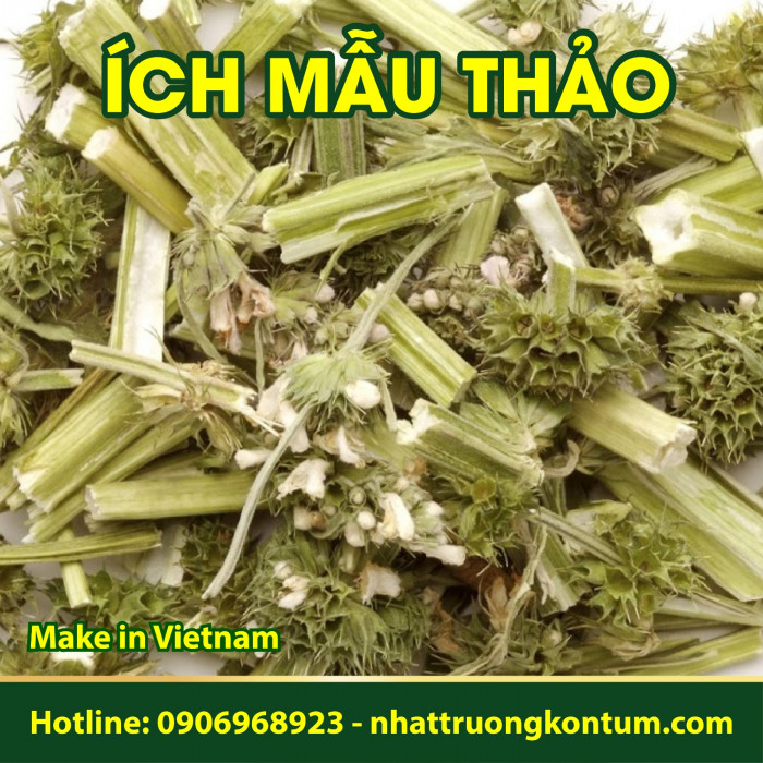 Ích Mẫu Thảo Nhật Trường Kon Tum - Leonurus  - Túi 1kg