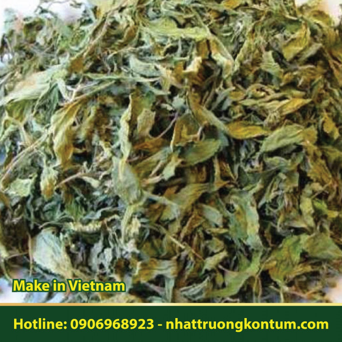 Lá Khế Khô Nguyên Chất Nhật Trường Kon Tum - Natural dried Averrhoa carambola Leaf - Túi 1kg