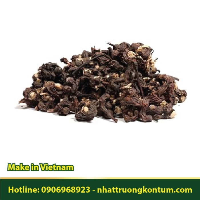 Khúng Khéng Khô (Loại Quả) - Chỉ Cụ - Hovenia dulcis Dried Vietnam - Túi 1kg