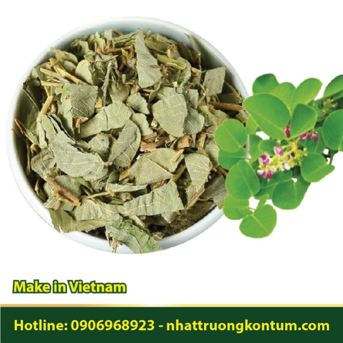 Kim Tiền Thảo khô - Desmodium styracifolium Dried Vietnam - Túi 1kg