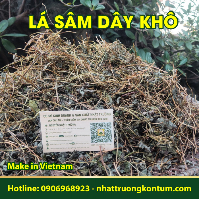 Lá Sâm Dây Khô – Lá Hồng Đẳng Sâm Khô Nhật Trường Kon Tum  - Codonopsis pilosula leaves - Túi 1kg