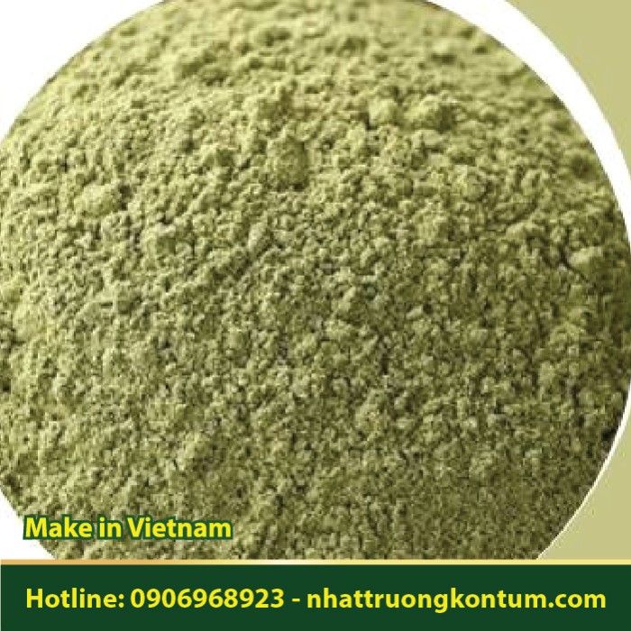 Bột Lá Bàng - Terminalia catappa Powder - Túi 1kg
