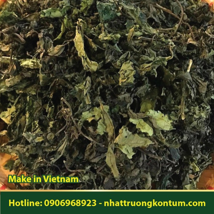 Lá Đắng - Lá Mật Gấu - Hoàng liên ô rô - Toddalia asiatica - Túi 1kg