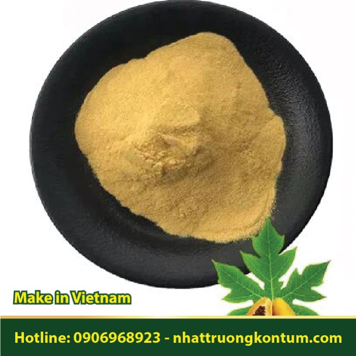Bột Lá Đu Đủ - Carica papaya Leaf Powder Vietnam - Túi 1kg