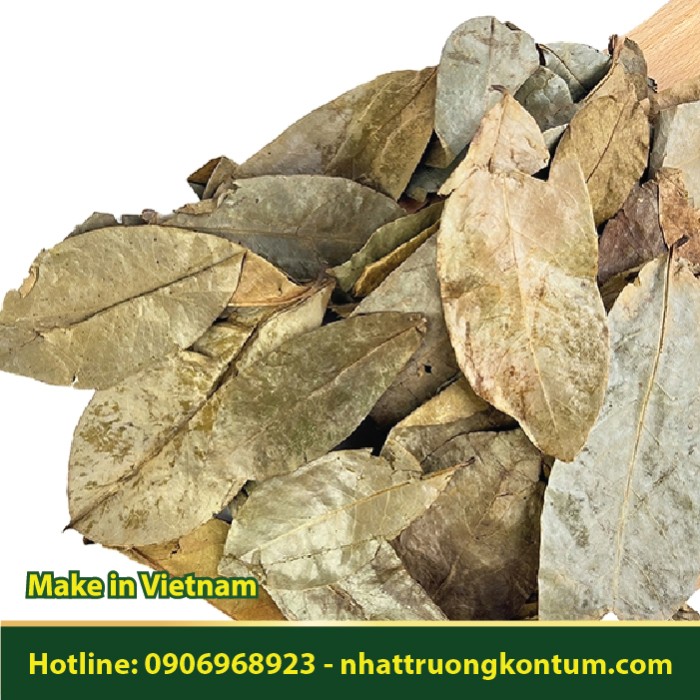 Lá Mãng Cầu Khô - Annona muricata - Túi 1kg