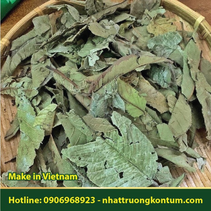 Lá Ổi khô - Psidium guajava Dried Vietnam - Túi 1kg