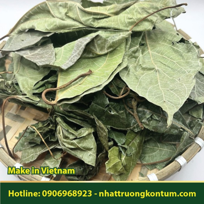 Lá Sung Khô - Ficus racemosa Leaf Dried Vietnam - Túi 1kg